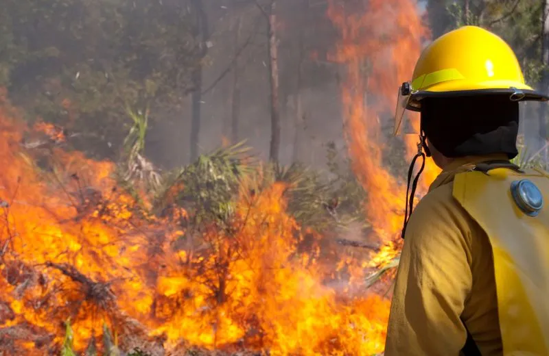 Off-Grid Wild Weather and Bushfire Preparation