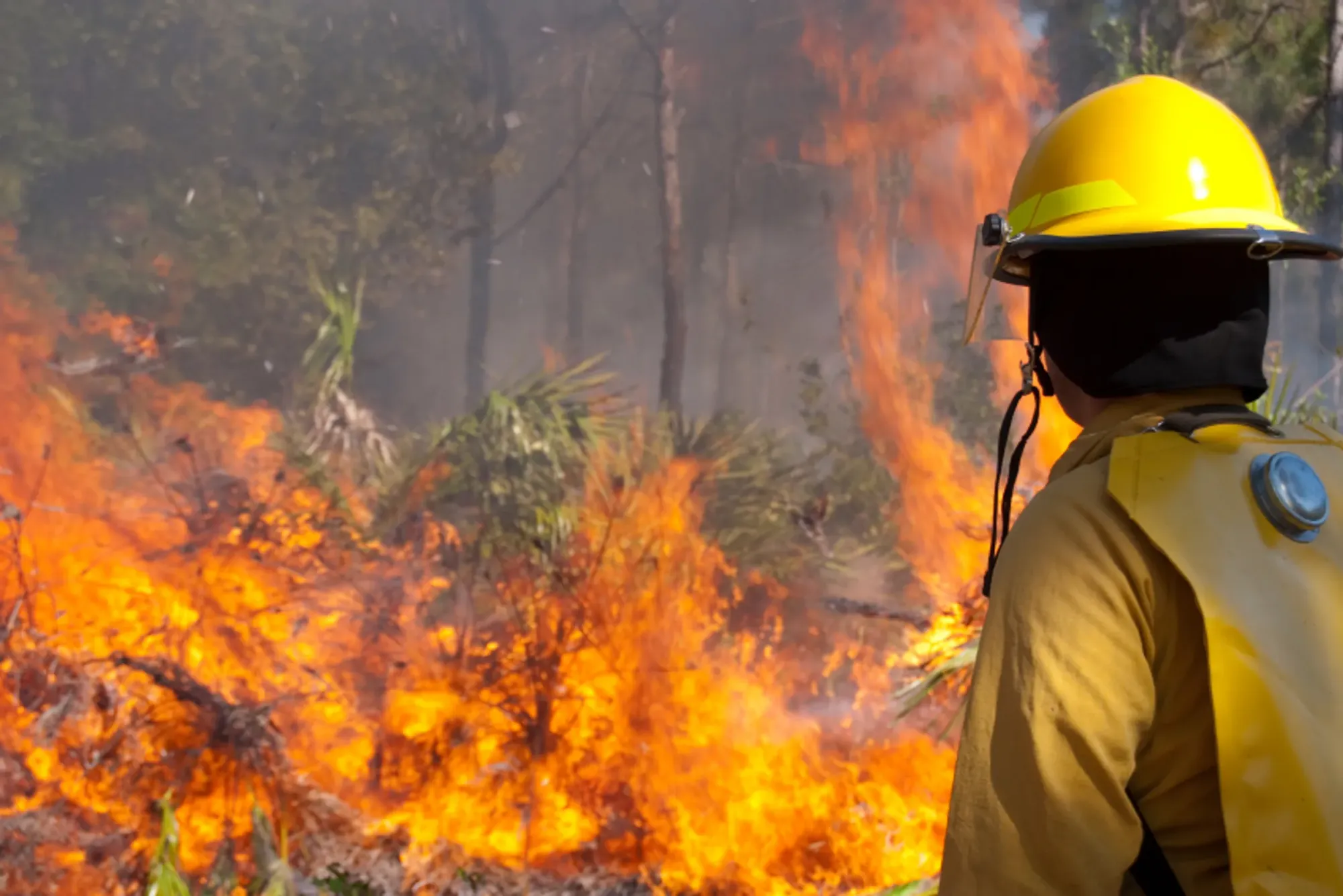 Off-Grid Wild Weather and Bushfire Preparation