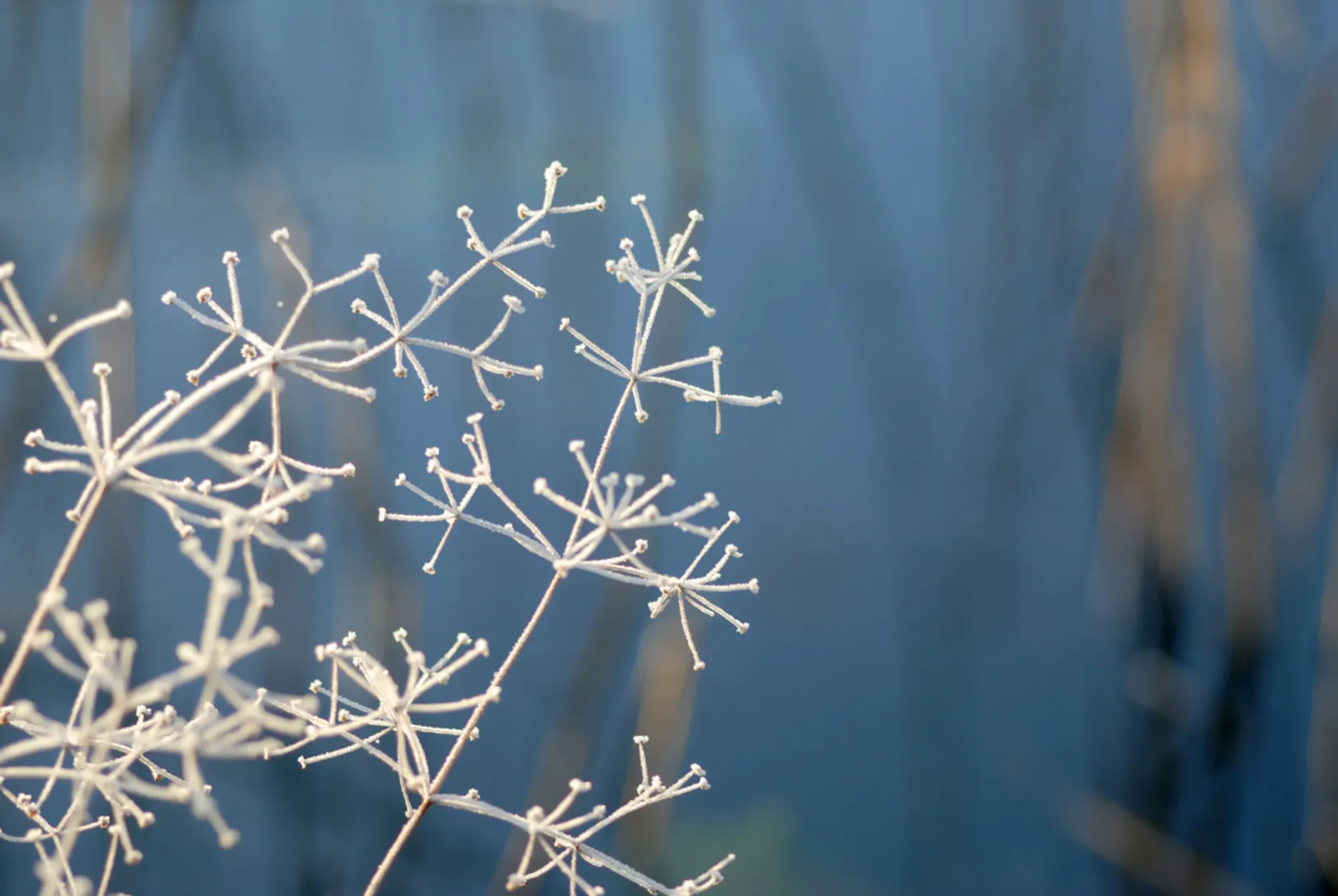 winter and off-grid power systems