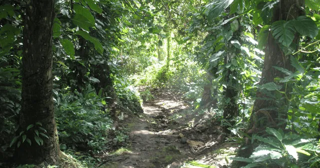 remote_vanuatu
