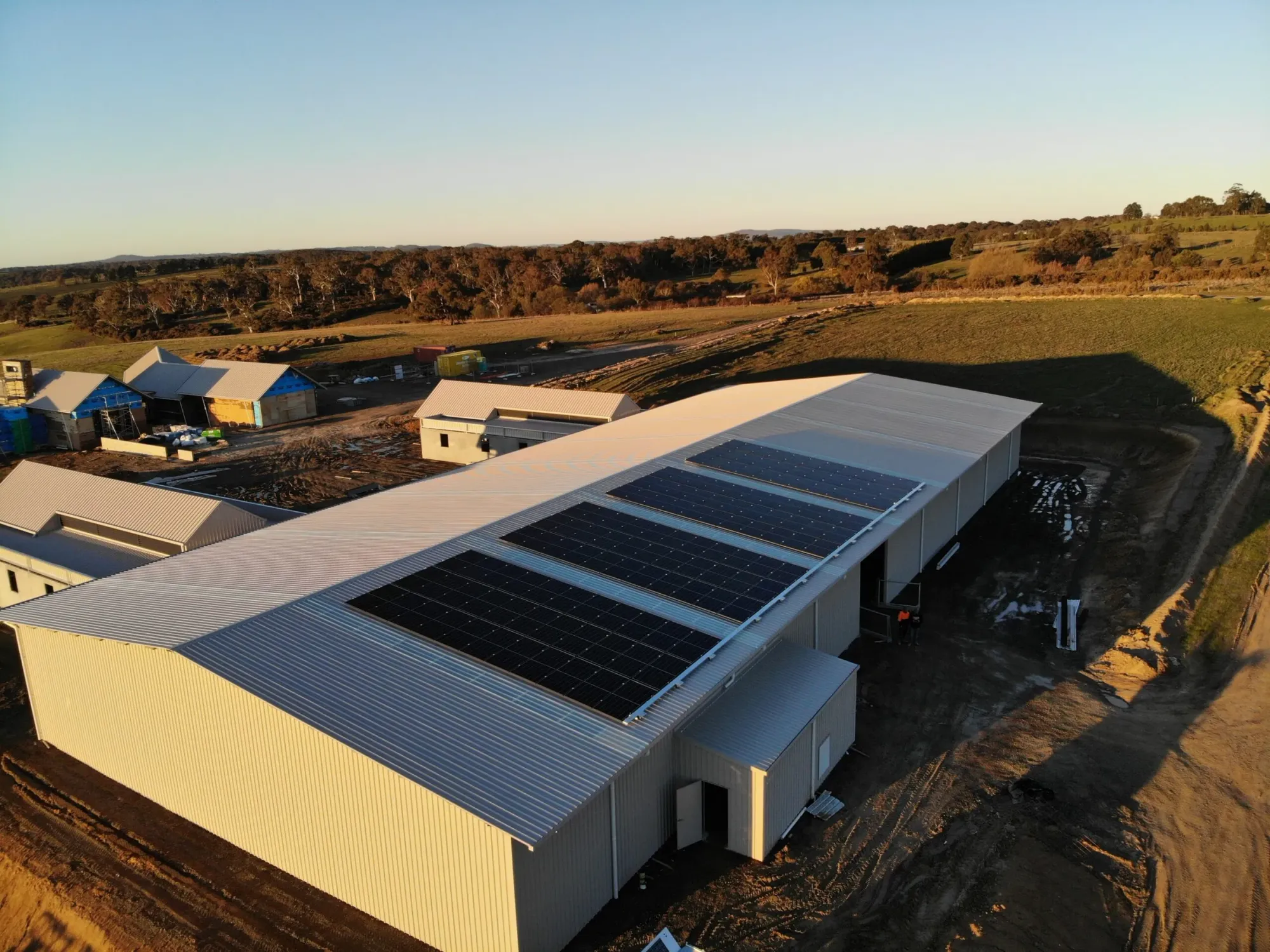 Harnessing Solar Power for Chicken and Egg Production