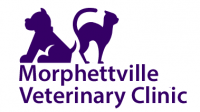 Morphettville Veterinary Clinic - commercial off-grid solar system